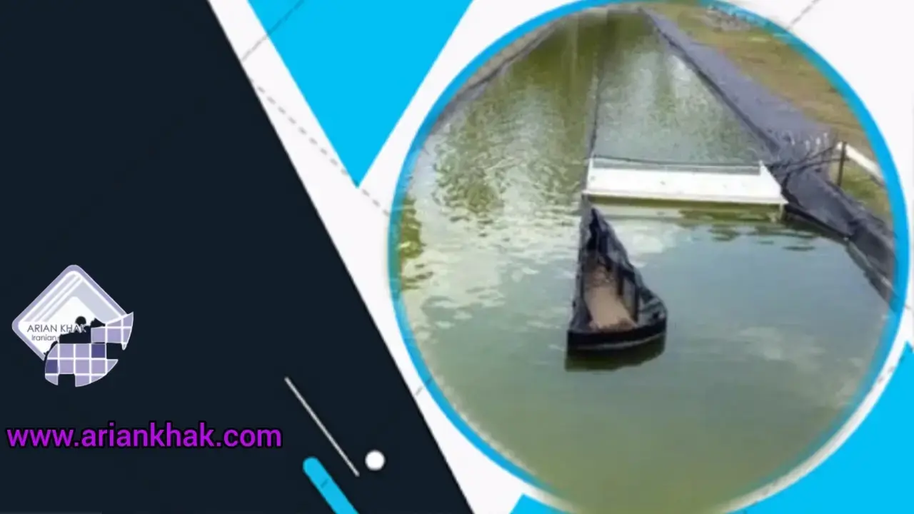 پرورش و اهمیت جلبک1