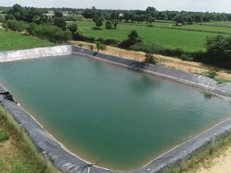 ساخت استخر کشاورزی با ورق ژئوممبران * رپرتاژ