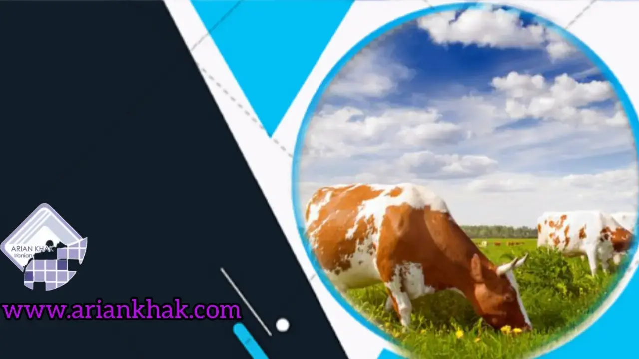 کاربرد بیوتکنولوژی‌ در کشاورزی1