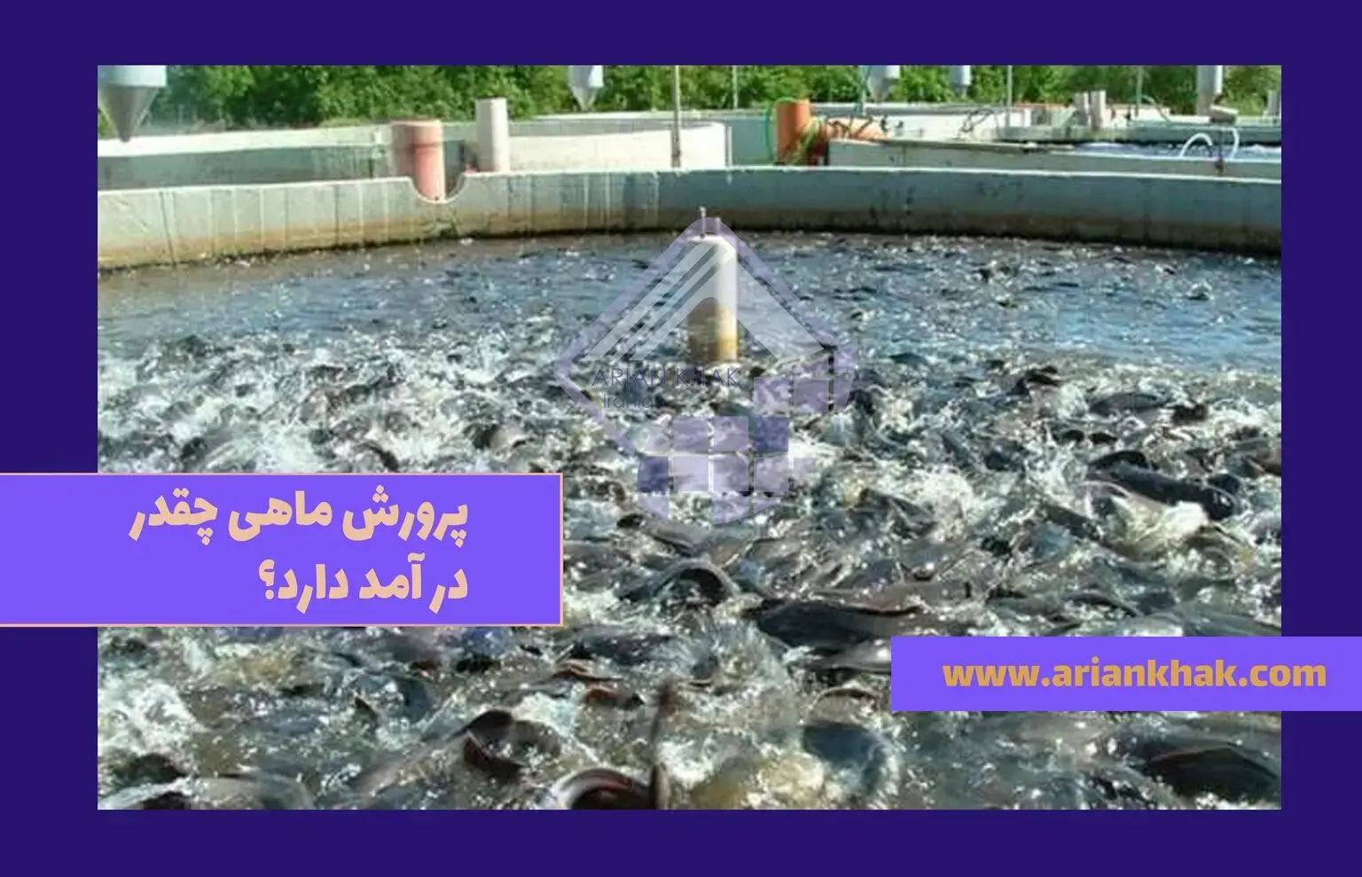 پرورش ماهی چقدر درآمد دارد؟1