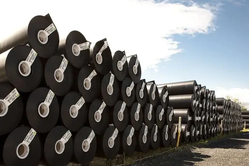 مقدمه ای بر ژئوسنتتیک، ژئوممبران و ژئوسل