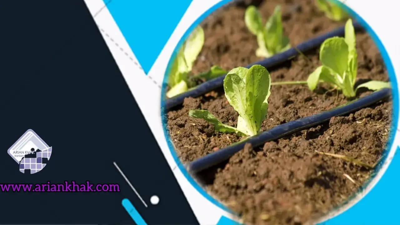 کشاورزی ارگانیک7