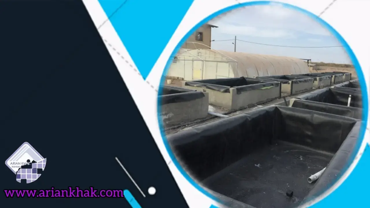 پرورش ماهی چگونه است1؟