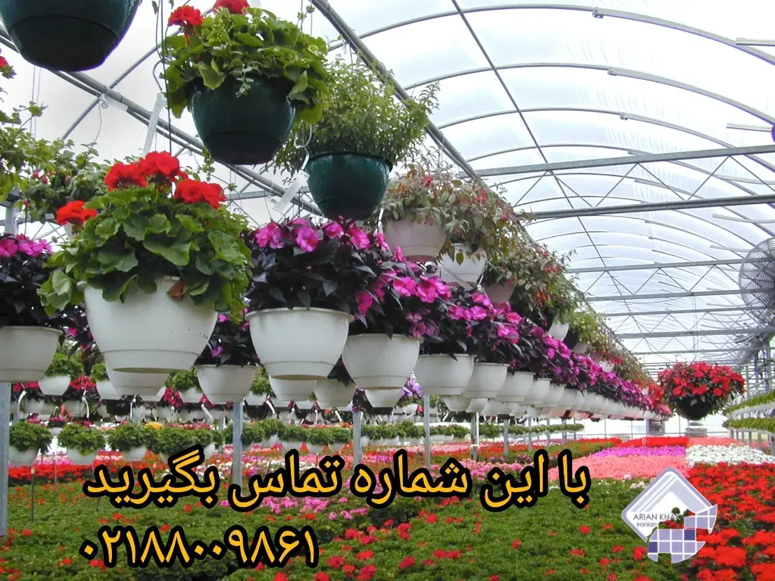 گیاهان زینتی 1