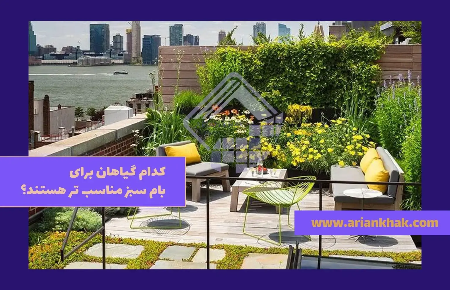 کدام گیاهان برای بام سبز مناسب تر هستند؟