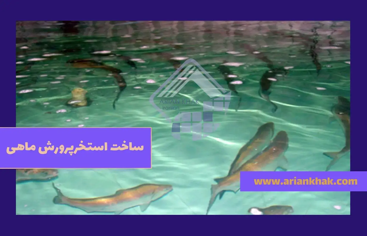 نحوه ساخت استخر پرورش ماهی