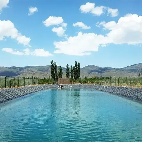 How to build an agricultural pool
