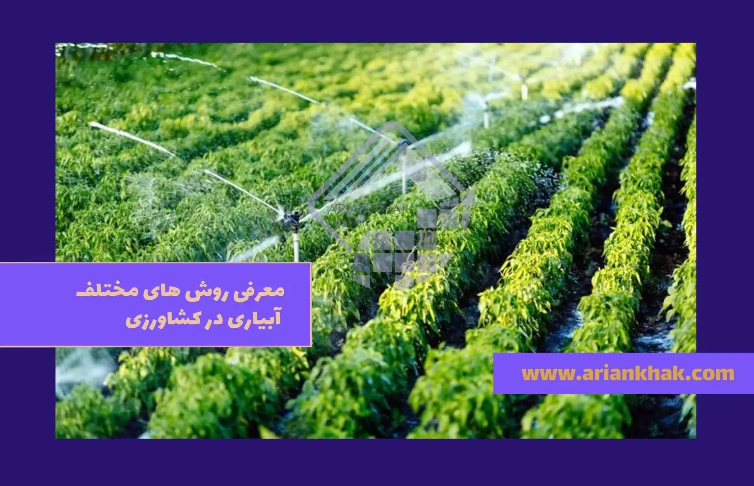 معرفی روش های مختلف آبیاری در کشاورزی