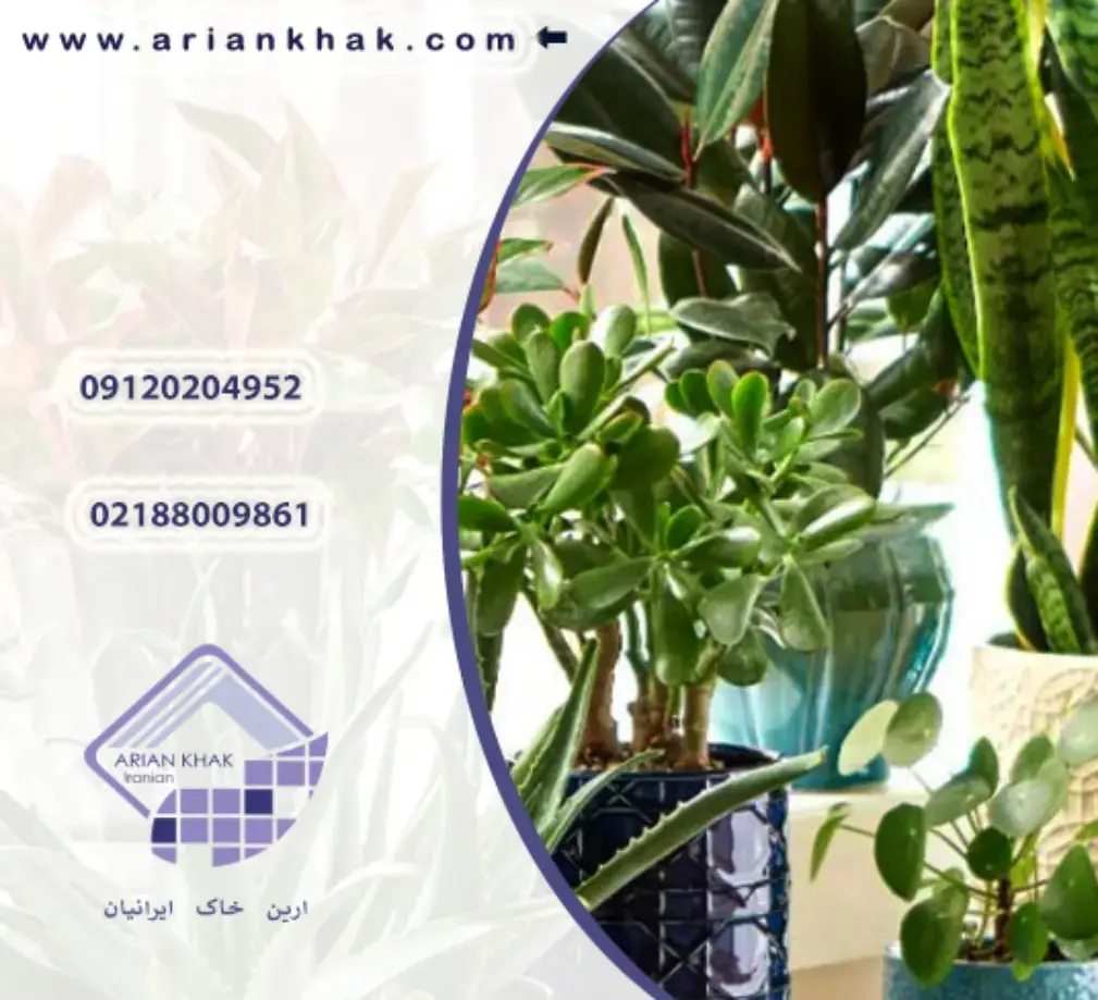 گیاهان سازگار با اب و هوای تهران