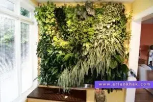 دیوار سبز خاکی