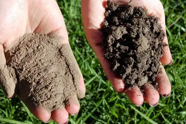 افزایش ظرفیت باروری خاک