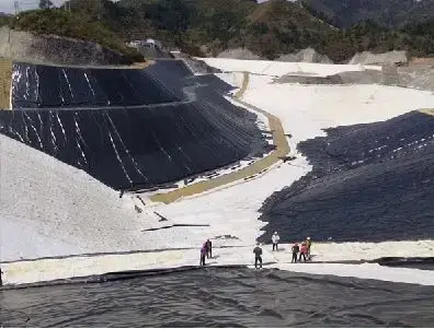 ژئوممبران مضرس