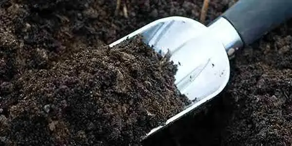 خاک مناسب روف گاردن