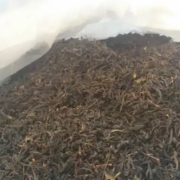 انواع خاک مناسب روف گاردن