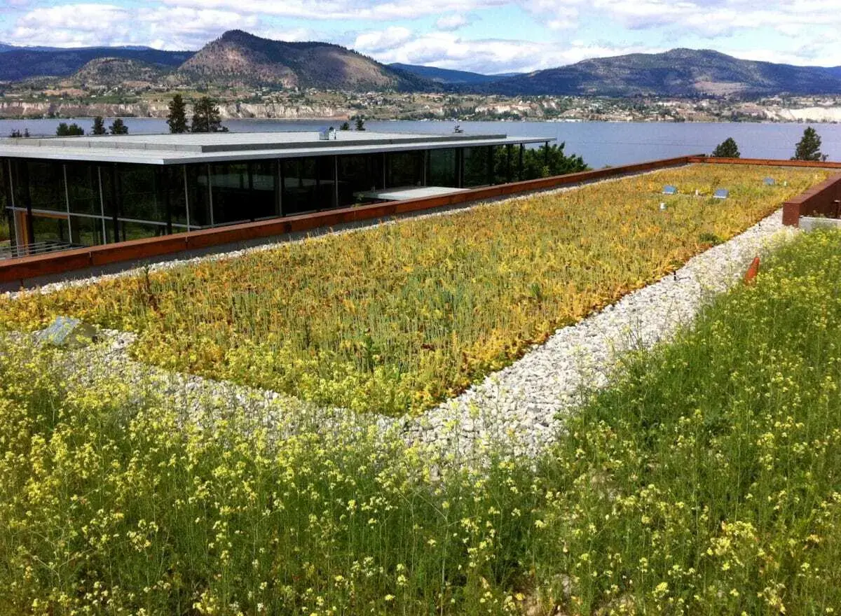 Architek بام سبز ناراماتا