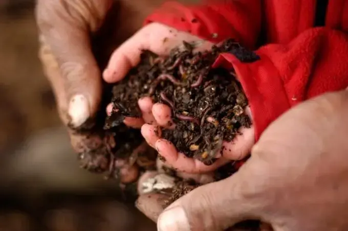 انواع خاک مناسب روف گاردن: 