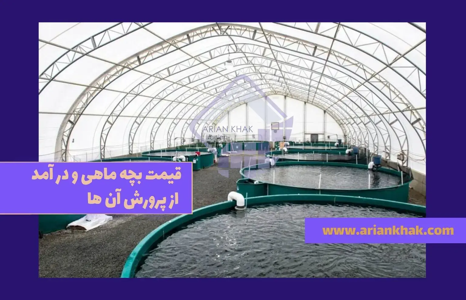 قیمت بچه ماهی و درآمد از پرور