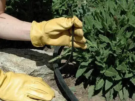 لوازم آبیاری قطره ای