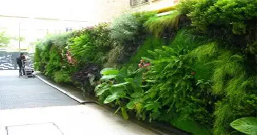 دیوار سبز