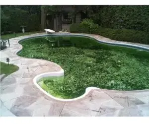 algae breeding pond with geomembrane