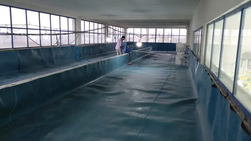 ژئوممبران چیست؟