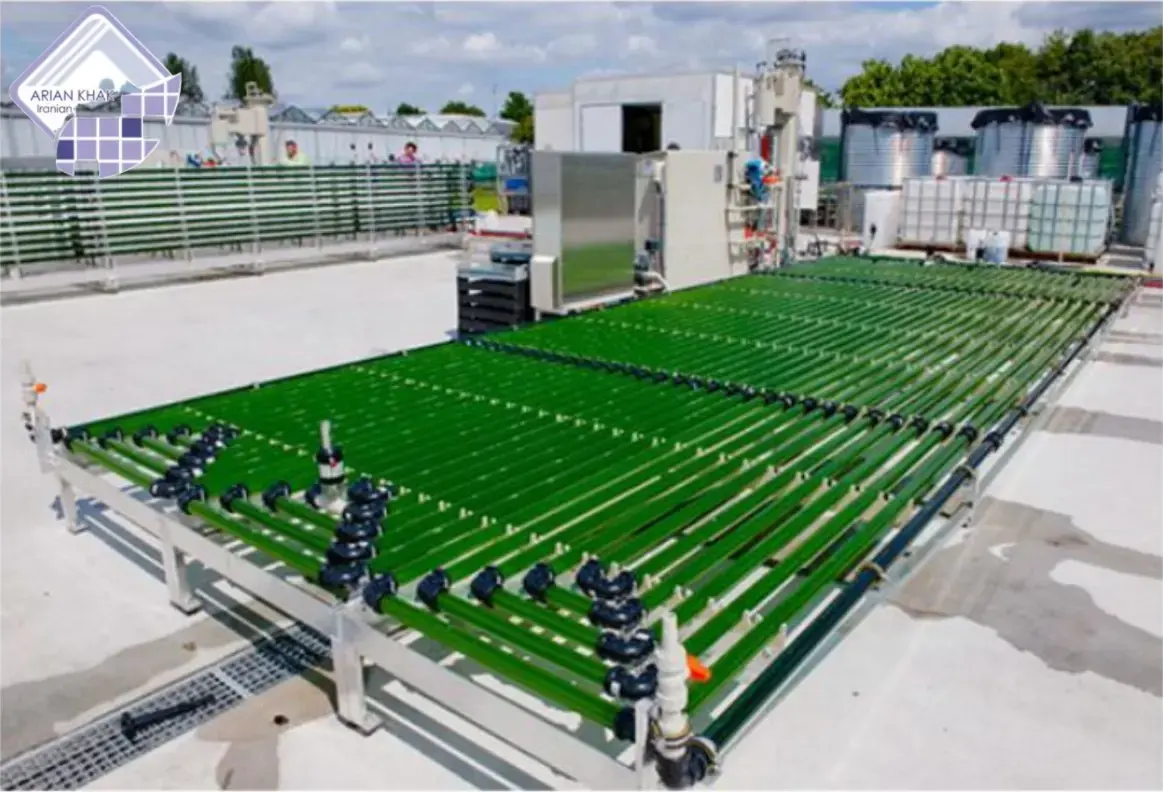 استخر پرورش جلبک