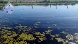 حوضچه های پساب شهری و صنعتی