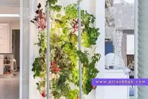 دیوار سبز هیدروپونیک