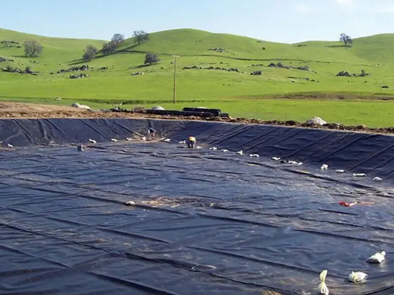 ورق های ژئوممبران بهترین گزینه برای ساخت استخر پرورش ماهی و میگو