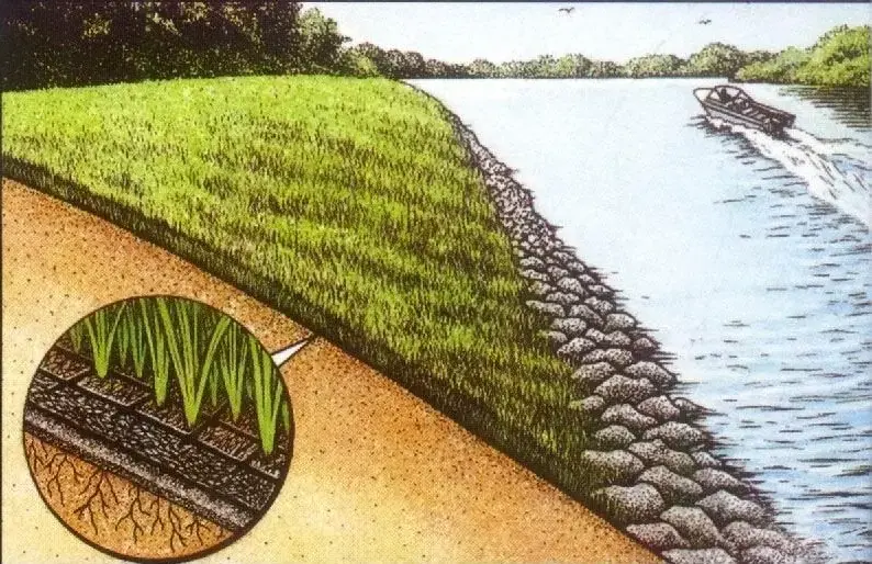 روکش ژئوگرید