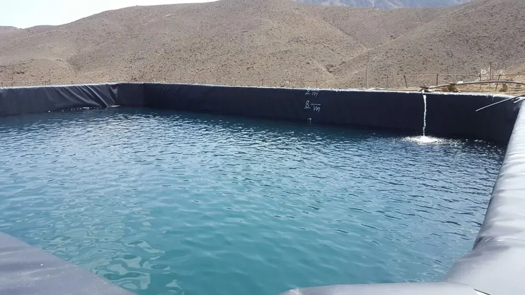 ورق ژئوممبران