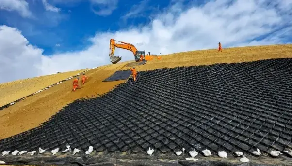 کاربردهای ژئوسنتتیک ها